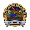 ProWrestlingBit