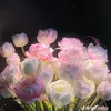 rili796