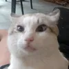 _midoki_3