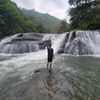 uroet rimba