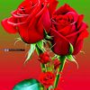 user3013228115921