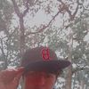 anderson.prqs