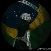 iae_yrzinn.xp