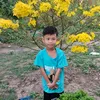 duynhan_123