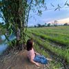 jd.id54