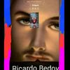 ricardo.bedoya.ri