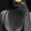 nubaem.sasipa