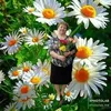udmilamarkovska