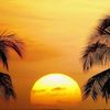 the_sun202