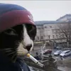 bocuabocuachungmay11
