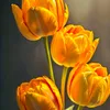 xdvbjg45