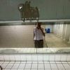 pphhaannoommpprraaii_22