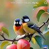 su.su.lwin28