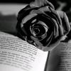 ch.amna708