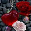 user9051440544409