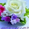 awan22309