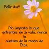 doris.farfan.niki