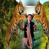 sajid88184