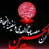 user5480615866650