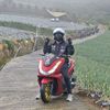 pcxmerah_pausdarat