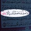 hind.hassan62