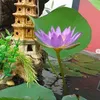 nguynngcbo31