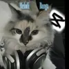 melodi.banga