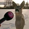 orbee_muncher
