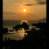 putra.chandraliow