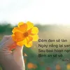 nguyn.th.tuyt.lan73