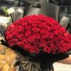 loli.alabdulqader