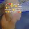 user7472597825880