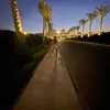 alexis_priv1010