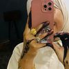 www.tiktok.commmanou4