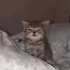 ms.pivko