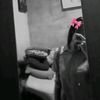 4urelliiaa_