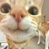 jhxsmel