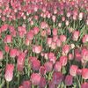 danna_82882