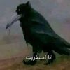 mo.isam125