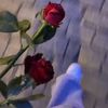 3malak_17