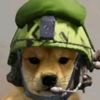 elperrogamer_15