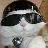 userrrname_46