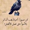 user8805840612665