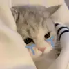 nah._.208