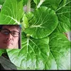 HOME GARDENING PH