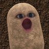 mewgie_.52