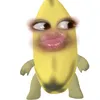 ely_y11