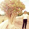 user2919122776192