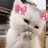 eminemmms2