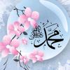 user5907845813025